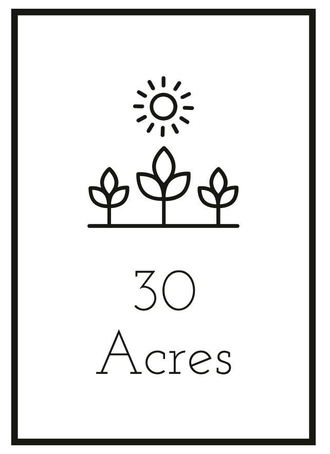 30 Acres Cafe & Catering Logo